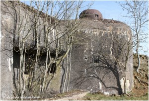 https://www.waibe.fr/sites/photoeg/medias/images/__HIDDEN__galerie_34/MAGINOT_025.jpg