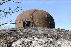 https://www.waibe.fr/sites/photoeg/medias/images/__HIDDEN__galerie_34/MAGINOT_031.jpg