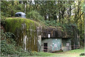 https://www.waibe.fr/sites/photoeg/medias/images/__HIDDEN__galerie_34/MAGINOT_040b.jpg