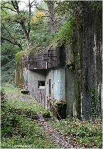 https://www.waibe.fr/sites/photoeg/medias/images/__HIDDEN__galerie_34/MAGINOT_045.jpg