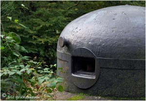 https://www.waibe.fr/sites/photoeg/medias/images/__HIDDEN__galerie_34/MAGINOT_047.jpg