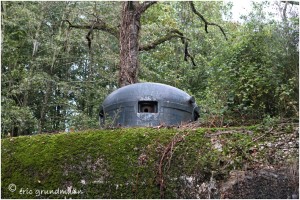 https://www.waibe.fr/sites/photoeg/medias/images/__HIDDEN__galerie_34/MAGINOT_052.jpg