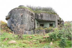 https://www.waibe.fr/sites/photoeg/medias/images/__HIDDEN__galerie_34/MAGINOT_081.jpg