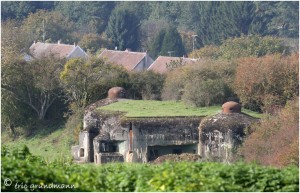 https://www.waibe.fr/sites/photoeg/medias/images/__HIDDEN__galerie_34/MAGINOT_082.jpg