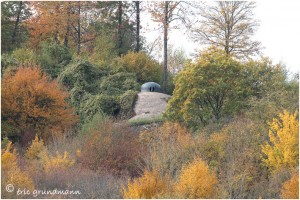 https://www.waibe.fr/sites/photoeg/medias/images/__HIDDEN__galerie_34/MAGINOT_084.jpg