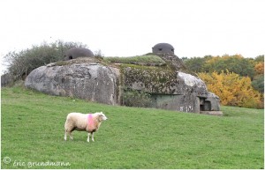 https://www.waibe.fr/sites/photoeg/medias/images/__HIDDEN__galerie_34/MAGINOT_085.jpg