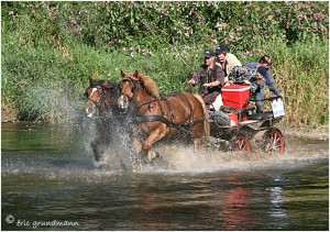 https://www.waibe.fr/sites/photoeg/medias/images/__HIDDEN__galerie_45/chevaux_02.jpg