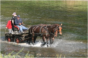 https://www.waibe.fr/sites/photoeg/medias/images/__HIDDEN__galerie_45/chevaux_03.jpg