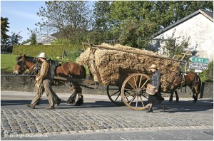 https://www.waibe.fr/sites/photoeg/medias/images/__HIDDEN__galerie_45/chevaux_05.jpg