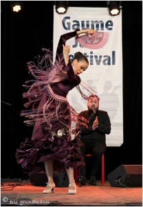 https://www.waibe.fr/sites/photoeg/medias/images/__HIDDEN__galerie_48/flamenco_01.jpg