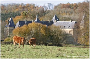 https://www.waibe.fr/sites/photoeg/medias/images/patrimoine/tassigny_02.jpg