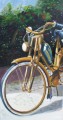 https://www.waibe.fr/sites/pieteraerents/medias/images/VIEILLES_MECANIQUES/la_mobilette_de_Callas_100x50.jpg