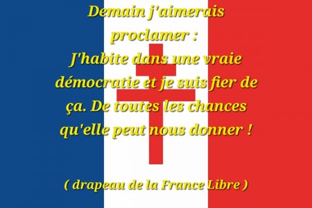 drapeau croix de lorraine flagsonline