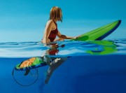 https://www.waibe.fr/sites/sanclar/medias/images/__HIDDEN__galerie_6/WhatsApp_Image_2025-01-04_at_10.33.41.jpeg