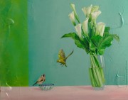 https://www.waibe.fr/sites/sanclar/medias/images/__HIDDEN__galerie_7/birds6.jpeg