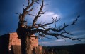 https://www.waibe.fr/sites/sawadi/medias/images/cevennes/FDR-182_copie_copie.jpg