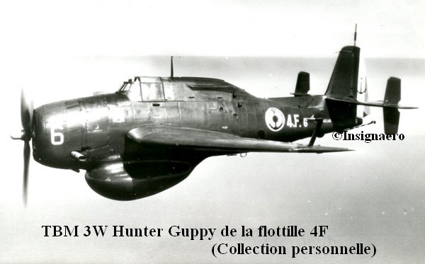 A la 4F  TBM 3W Hunter Guppy