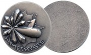 Coin SNA Amethyste 1