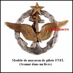 Brevet de pilote FNFL