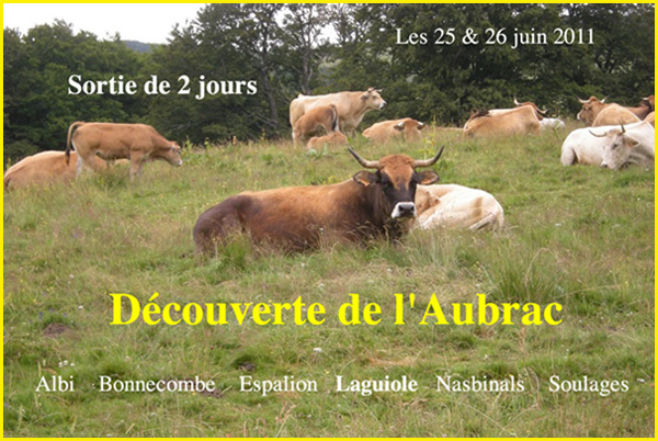 Aubrac 600x400