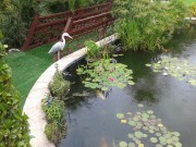 https://www.waibe.fr/sites/xx106/medias/images/9__Aquatic_pond_and_beautiful_flat_surfaces_to_relax_o_games___1_.jpg