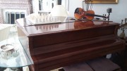https://www.waibe.fr/sites/xx106/medias/images/Rez_de_chaussee/4.jpg