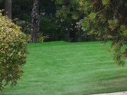 https://www.waibe.fr/sites/xx106/medias/images/exterieur/large_area__near_swimmng_pool.jpg