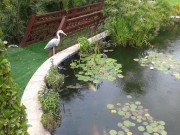 https://www.waibe.fr/sites/xx106/medias/images/piscine_bien_etre/8_Aquatic_pond_and_beautiful_flat_surfaces_to_relax_o_games___1_.jpg