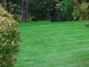 https://www.waibe.fr/sites/xx106/medias/images/piscine_bien_etre/large_area__near_swimmng_pool.jpg