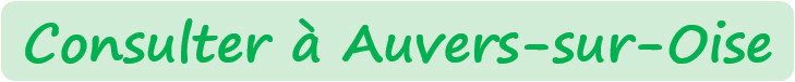 https://www.keldoc.com/medecin-generaliste/auvers-sur-oise-95430/yann-philippe-herault#cabinet-6448